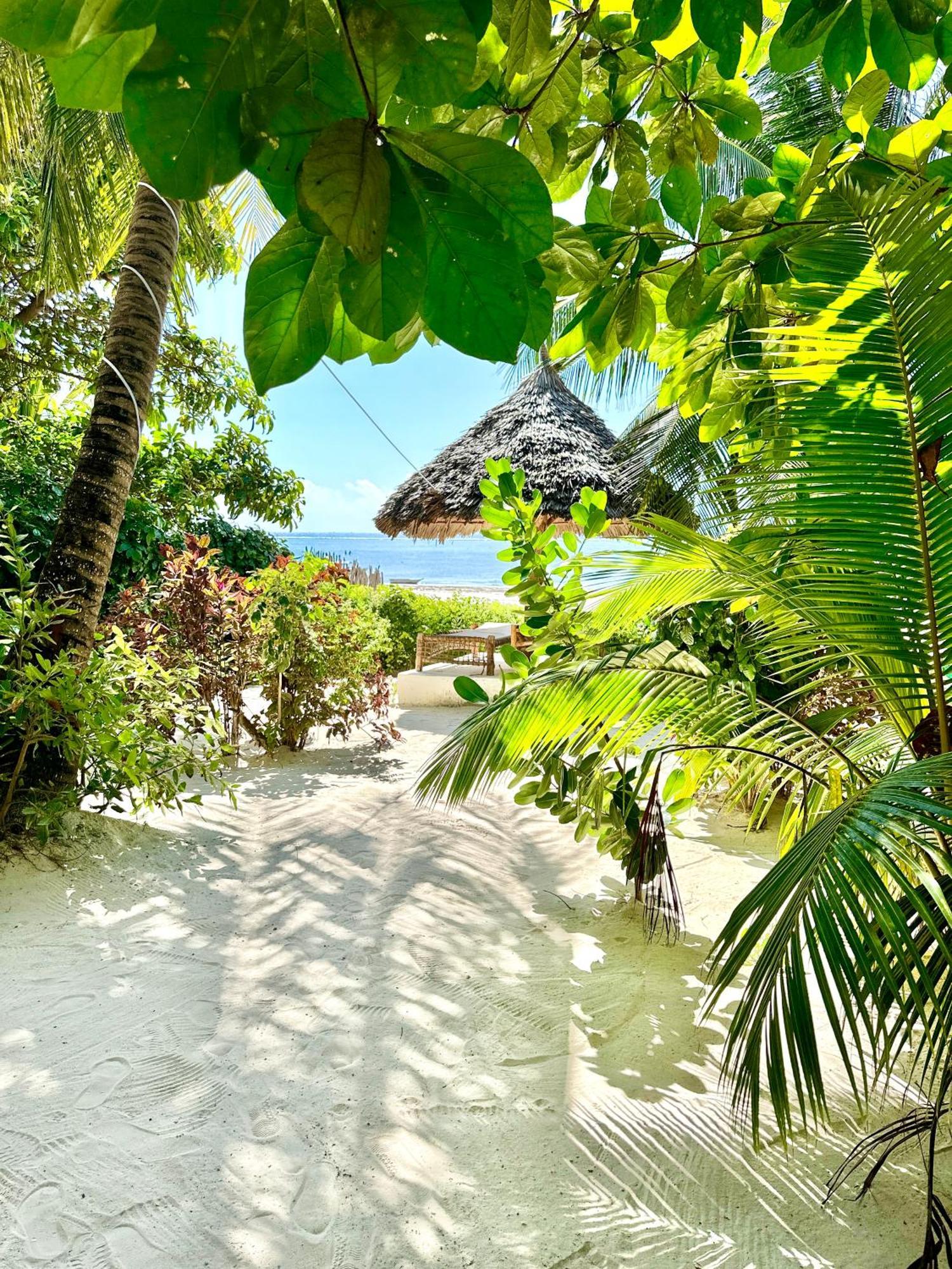 Hebe Bungalows Lodge Matemwe  Exterior foto