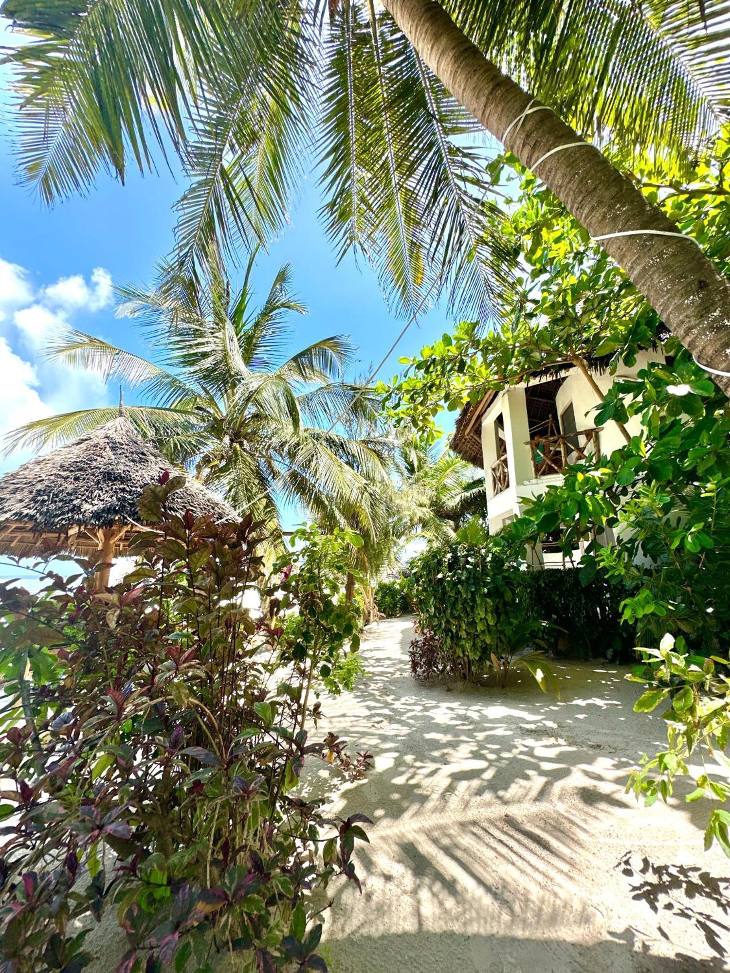 Hebe Bungalows Lodge Matemwe  Exterior foto