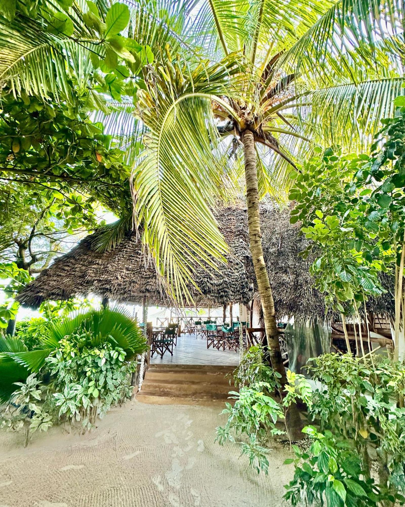 Hebe Bungalows Lodge Matemwe  Exterior foto