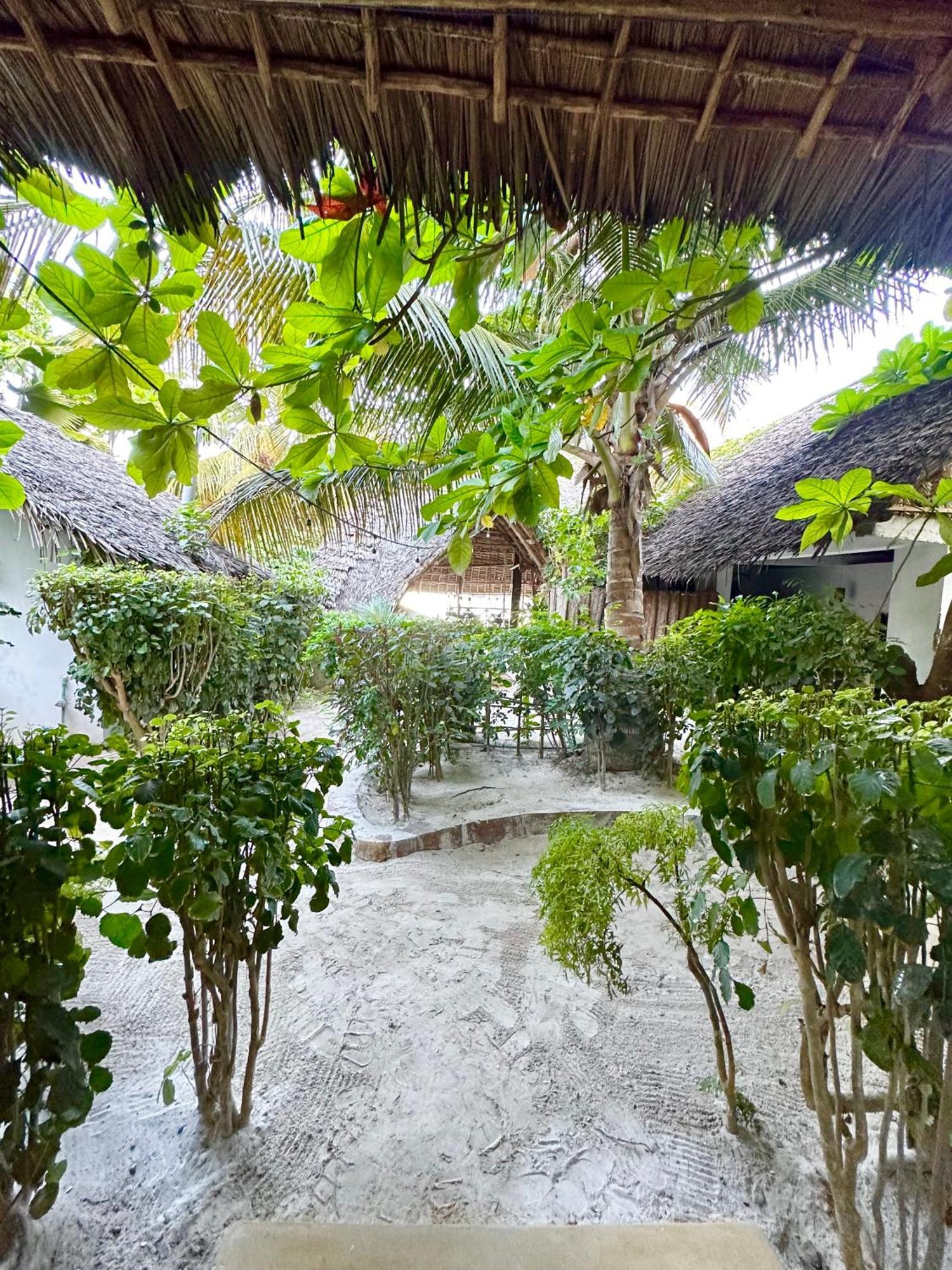 Hebe Bungalows Lodge Matemwe  Exterior foto